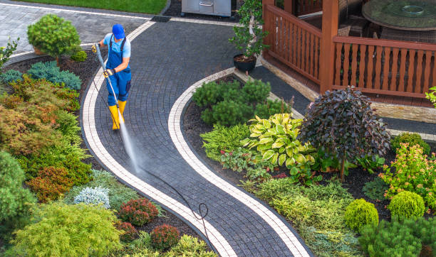 Best Pressure Washing Services Near Me  in Federal Heights, CO